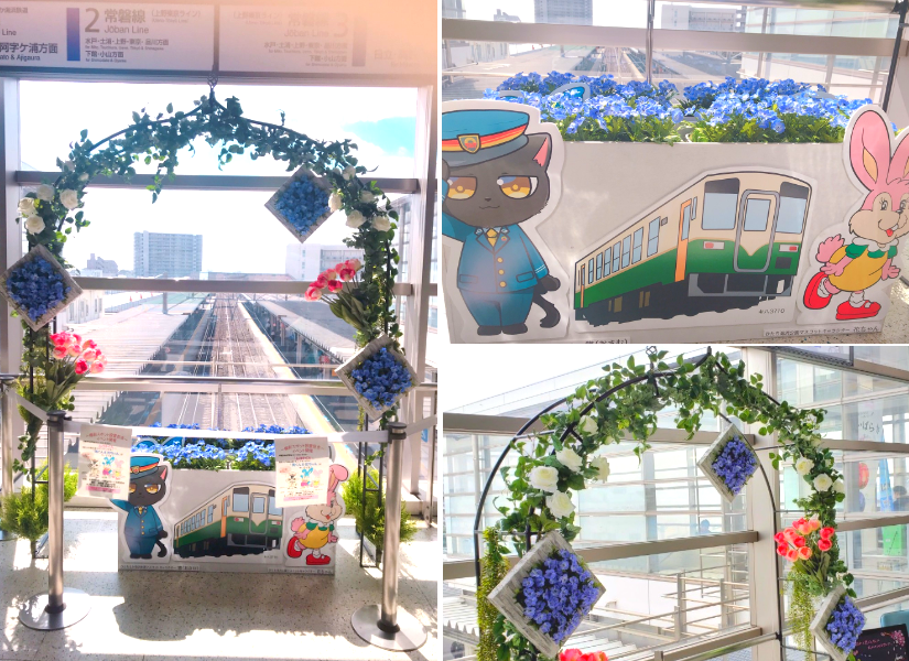 ひたちなか生花お花屋さん